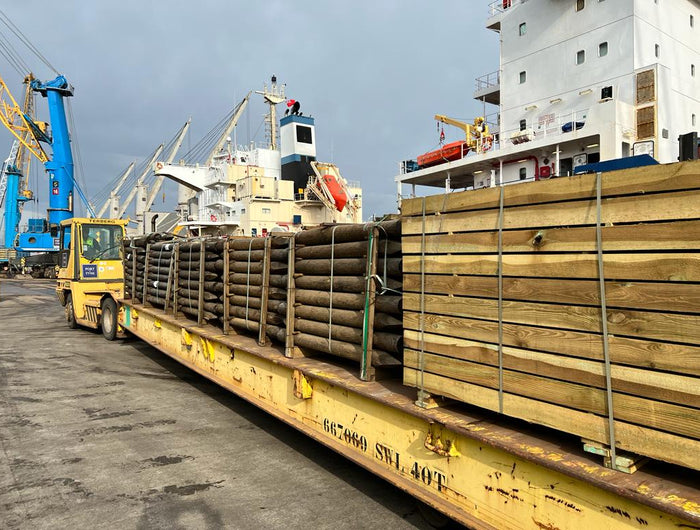 <strong>Eva Timber</strong>